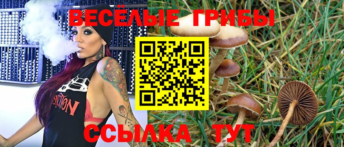 Галлюциногенные грибы Psilocybe  Галлюциногенные грибы мухоморы  Азов  Вход с VPN 